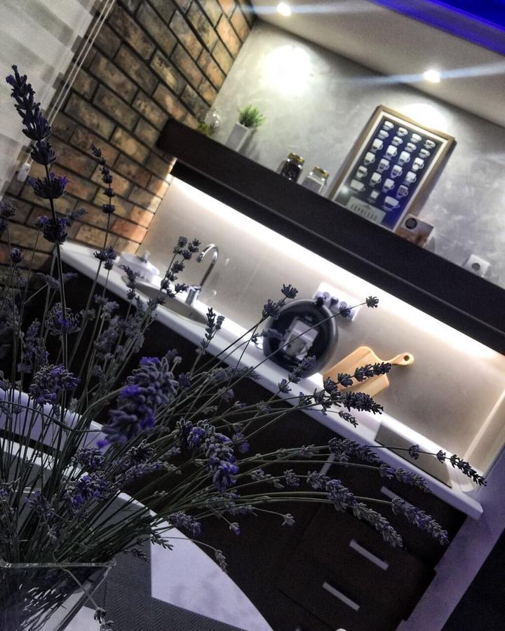 Gardenlux Vrdnik Apartman Kültér fotó